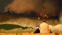 ஆஸ்திரேலியாவை திணறடிக்கும் காட்டுத்தீ... அதிர்ச்சி தெரிவித்த டேவிட் வார்னர்