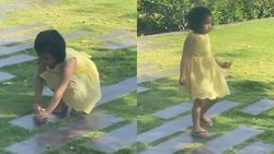 யாருப்பா குப்பையைப் போட்டது.. தோனி மகளுக்குத்தான் எத்தனை பொறுப்பு பாருங்க!