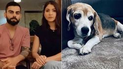 11 வருஷமா வளர்த்த நாய் செத்துப் போச்சு.. அனுஷ்கா, கோலி பெரும் சோகம்