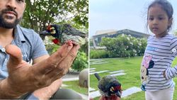 அப்பா இங்க பாருங்க.. கத்திய ஸிவா.. வாயில்லா ஜீவனை காப்பாற்றிய தோனி.. செம ஹேப்பி!