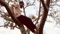 மரத்துல ஏறி இயற்கையை ரசிச்சதெல்லாம்... விராட் கோலி பரவசம்