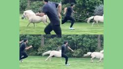 குதிரை உடனேயே ரேஸ்.. முழு ஃபிட்னஸுடன் இருக்கும் சிஎஸ்கே கேப்டன் தோனி.. இணையத்தை தெறிக்கவிடும் வீடியோ