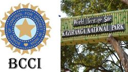 அட இது நல்லா இருக்கே.. இங்கு பந்தால் அடித்தால் ரூ.5 லட்சம்.. ஐபிஎல் செய்த நல்ல காரியம்