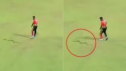 வீடியோ - பாம்பு இடமிருந்து உயிர் தப்பிய இலங்கை வீரர்.. LPL தொடரில் அட்டகாசம் செய்யும் பாம்பு