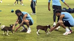 குழந்தை மனசு சார் கோலிக்கு..! பயிற்சியின் போது நாய்க்குட்டியை கொஞ்சிய கிங் கோலி - வீடியோ