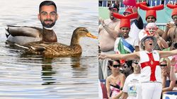 எல்லை மீறிய இங்கிலாந்து ரசிகர்கள்.. பொங்கி எழுந்த கோலி ரசிகர்கள்.. டக் அவுட்டை வைத்து பதிலடி