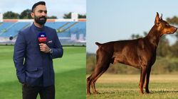 இந்திய அணியின் பேட்டிங் டாபர்மேன் நாய் போல் இருக்கு.. தினேஷ் கார்த்திக் கிண்டல்