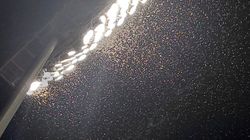 இது என்ன மம்மி படம் மாதிரி இருக்கு.. கிரிக்கெட் போட்டிக்குள் படை எடுத்த பூச்சி..நிறுத்தப்பட்ட ஆட்டம்