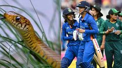 IND vs PAK போட்டிக்கு முன் புகுந்த “கரந்தியா”.. மகளிர் உலகக்கோப்பை பயிற்சியில் நடந்த சம்பவம்