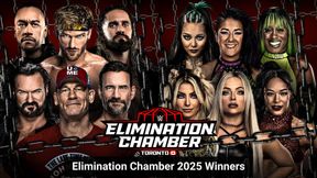 WWE Elimination Chamber 2025 Winner: Who Won The Chamber Match In Toronto?
