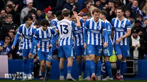 Brighton Pursues European Football By Fostering A United Front On The Pitch