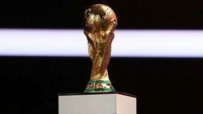 FIFA World Cup 2026 Broadcast: Delhi HC Asks Centre And Prasar Bharati To Respond On Free Telecast Plea