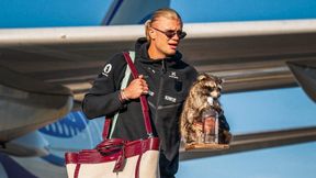 Forget the goals, Haaland's $750 World Cup raccoon is stealing the spotlight Forget the goals, Haaland's $750 World Cup raccoon is stealing the spotlight
