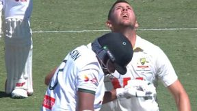 ‘You Ran Straight Into Me’: Why Josh Hazlewood Was Furious With Taskin