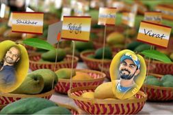 ಮಾವಿಗೂ ಮೆತ್ತಿದ ಕ್ರಿಕೆಟ್‌ ಕ್ರೇಝ್, ಕೊಹ್ಲಿ-ಧವನ್ ಹೆಸರಿನಲ್ಲಿ ಮ್ಯಾಂಗೋಸ್!