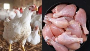 Chicken price hiked to 360 rs! Consumers shocked, do you know when it will decrease?