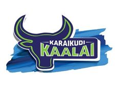 டி.என்.பி.எல். கிரிக்கெட்: 3 விக்கெட் வித்தியாசத்தில் காஞ்சி வாரியர்சை வீழ்த்தியது காரைக்குடி காளை