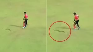 வீடியோ - பாம்பு இடமிருந்து உயிர் தப்பிய இலங்கை வீரர்.. LPL தொடரில் அட்டகாசம் செய்யும் பாம்பு