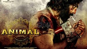 மிகவும் கேவலம்.. சமூக பொறுப்பு இருக்கா? Animal படத்தை கிழித்து தொங்க விட்ட பிரபல கிரிக்கெட் வீரர்