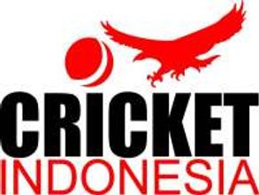 Soon, Indonesian cricket team might emerge