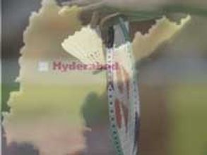 Terror threat to World Badminton Championship: IB