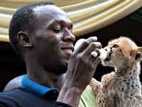 World's fastest man adopts world's fastest animal