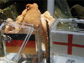 Spanish PM humorously offers protection for Paul