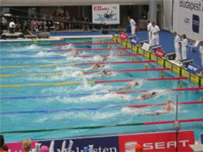 CWG, a joke; Indian crowd, monkey: SA swimmer