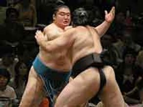 Wrestlers admit bout-fixing: minister