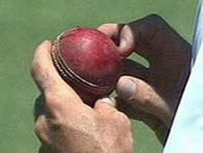 Peta bats against cricket leather balls