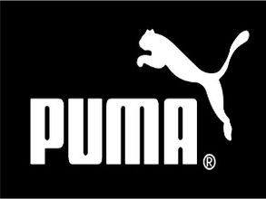 Puma to be the official merchandise partner for Indian GP