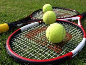 Chennai Open 2012: Erlich, Ram breeze past young Indian pair