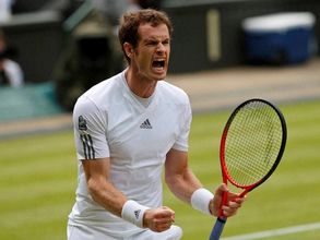 Djokovic, Murray, Del Potro reach Wimbledon semis
