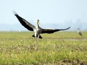 In Pics: What happened on January 23