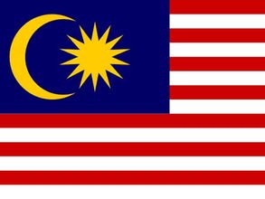 Malaysia police arrest 31 people for illegal betting during World Cup