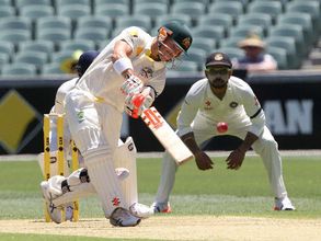 India hit back after David Warner's century
