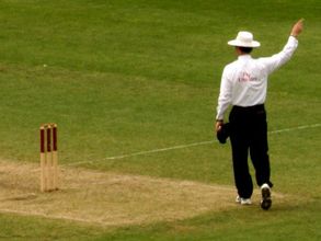 World Cup cricket record: Umpires who officiated in most number of matches