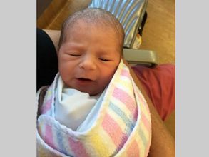Australia batsman David Warner blessed with a baby girl