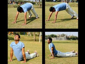 Mohammad Kaif shares photos performing Surya Namaskar, gets trolled by fanatics