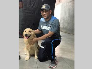 VIDEO: MS Dhoni trains his dogs with tennis ball catching practice