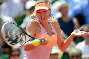 Sharapova handed US Open wildcard