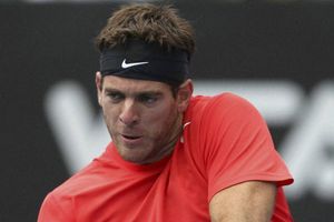 Crowd egged me on, says del Potro
