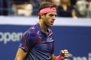 Del Potro upstages Federer en route to US Open semis