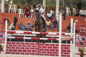 Anirudh Krishna, Gulliame Marcotte triumphant in Equestrian Premier league