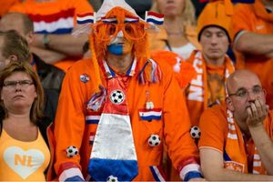 Dutch ponder total flopball after World Cup failure