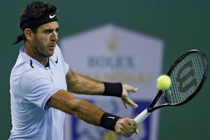 Del Potro stays in line for ATP World Tour Finals