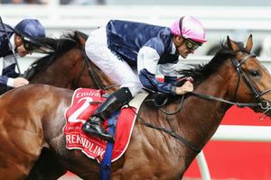 Rekindling claims nail-biting Melbourne Cup