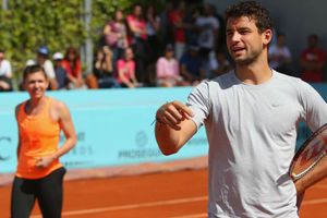 Halep tips Dimitrov for grand slam glory