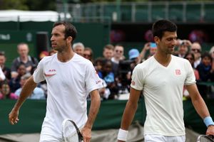 Djokovic reveals Stepanek as new coach