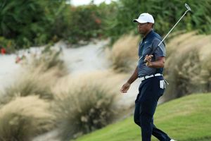 Woods challenge fades as Hoffman extends lead